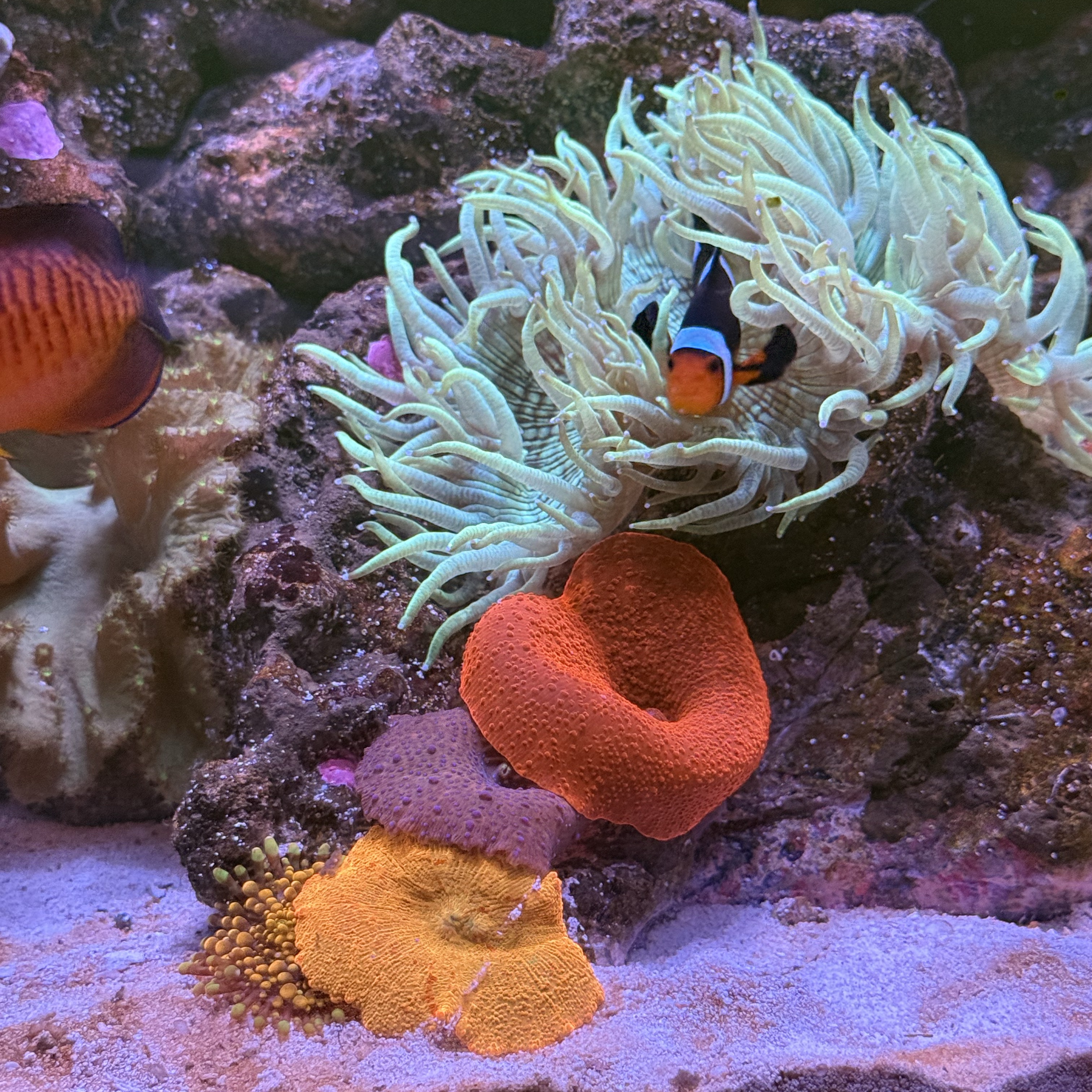 Tank Image