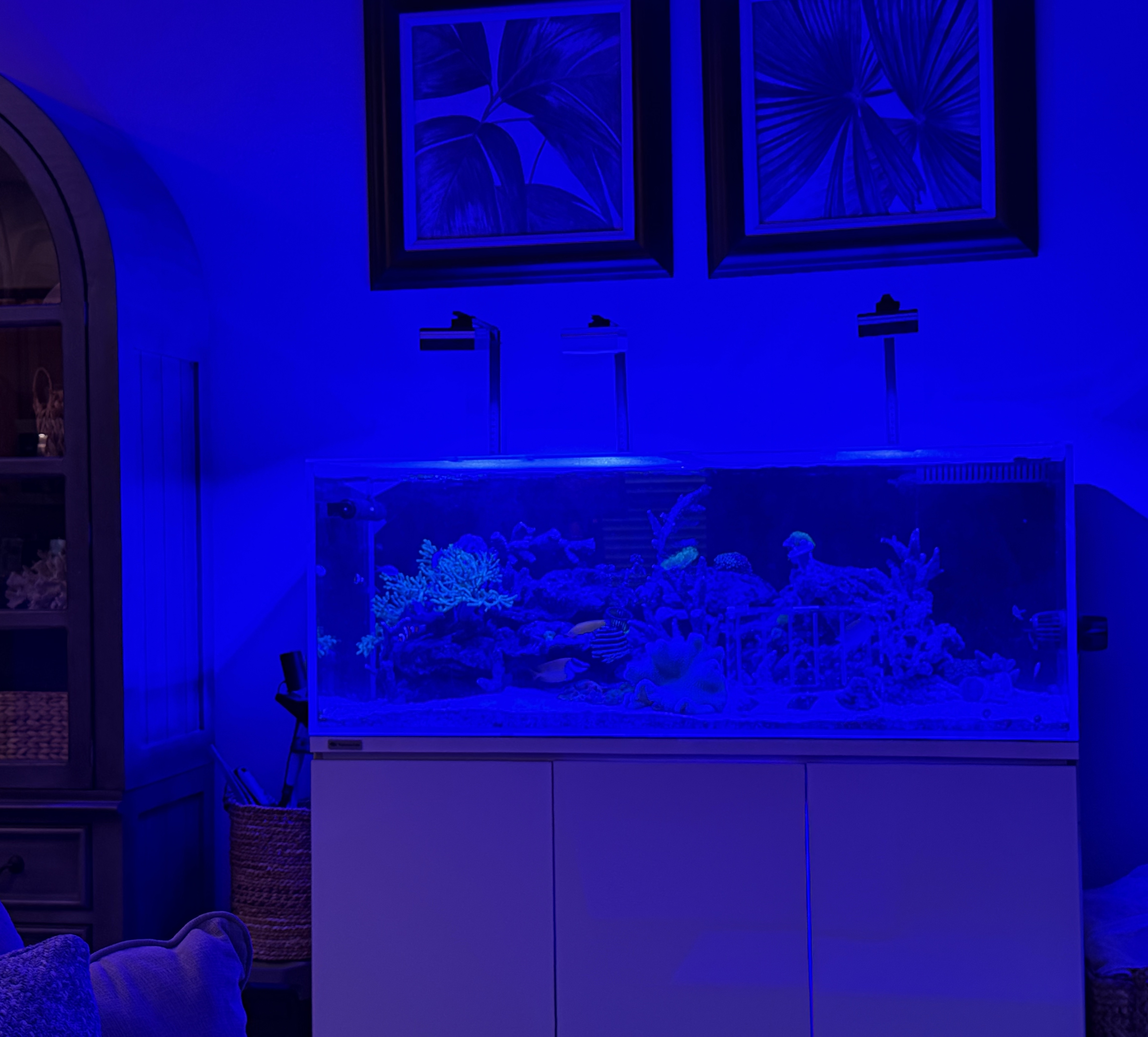 Tank Image