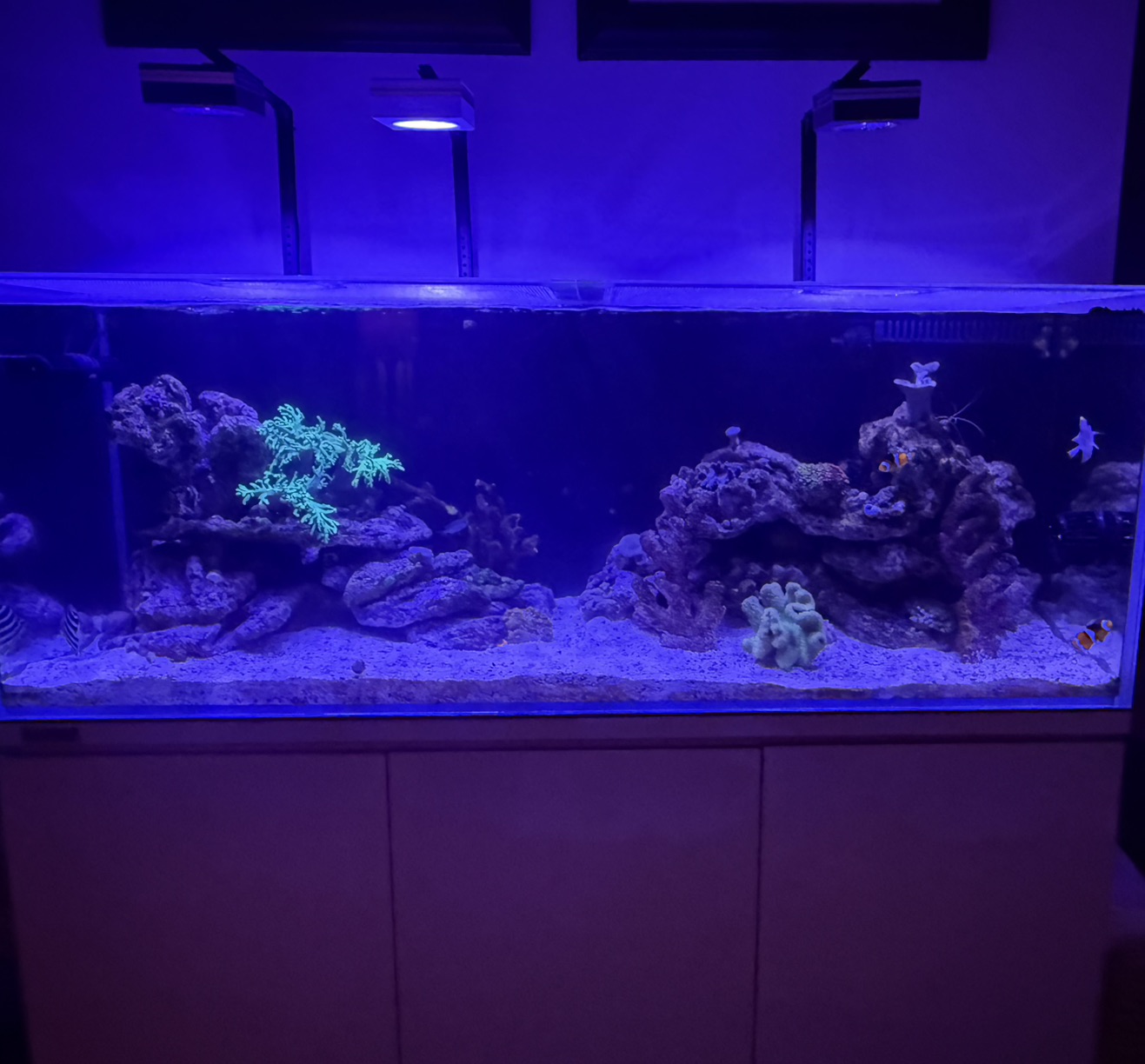Tank Image