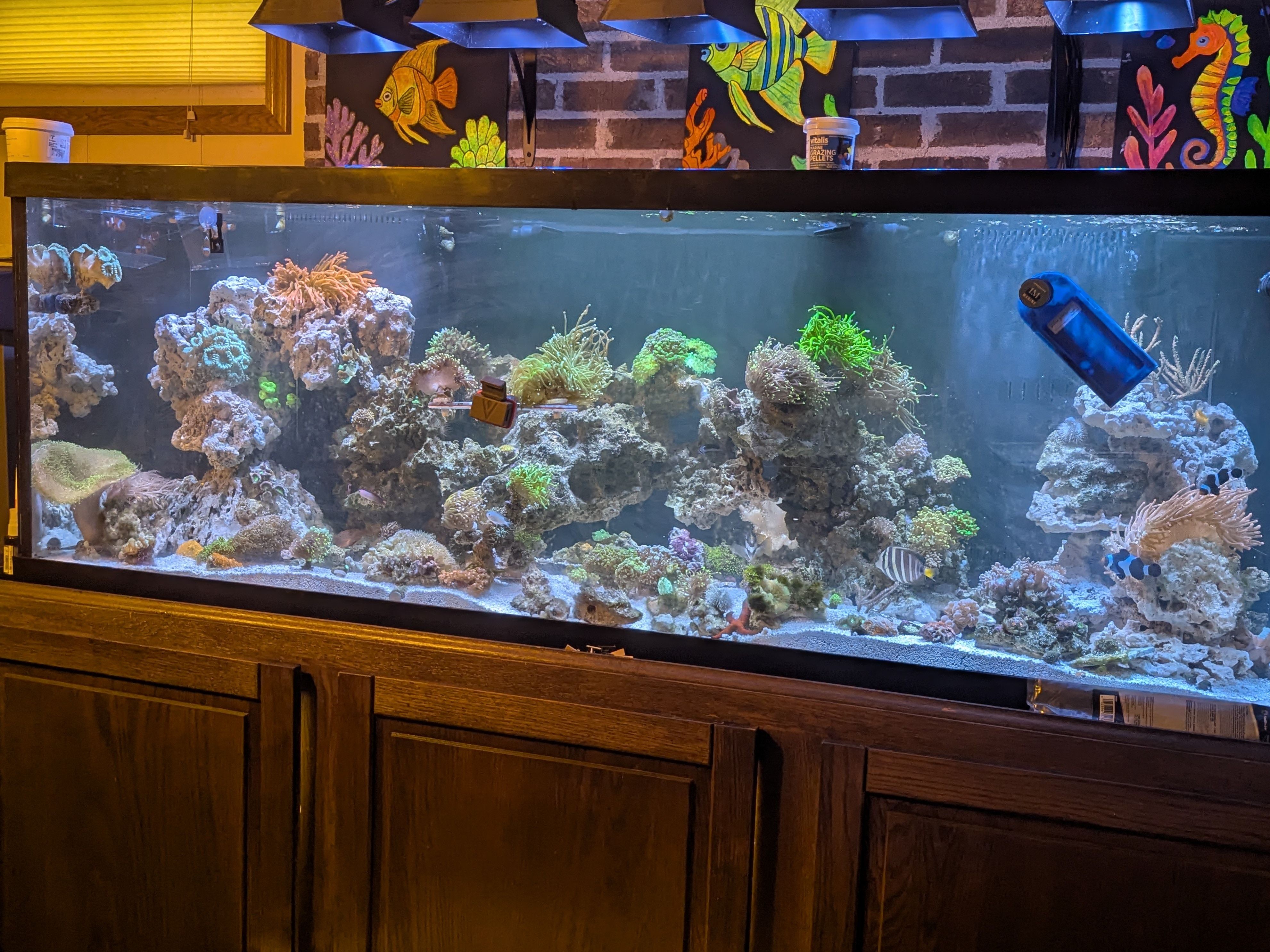 Tank Image