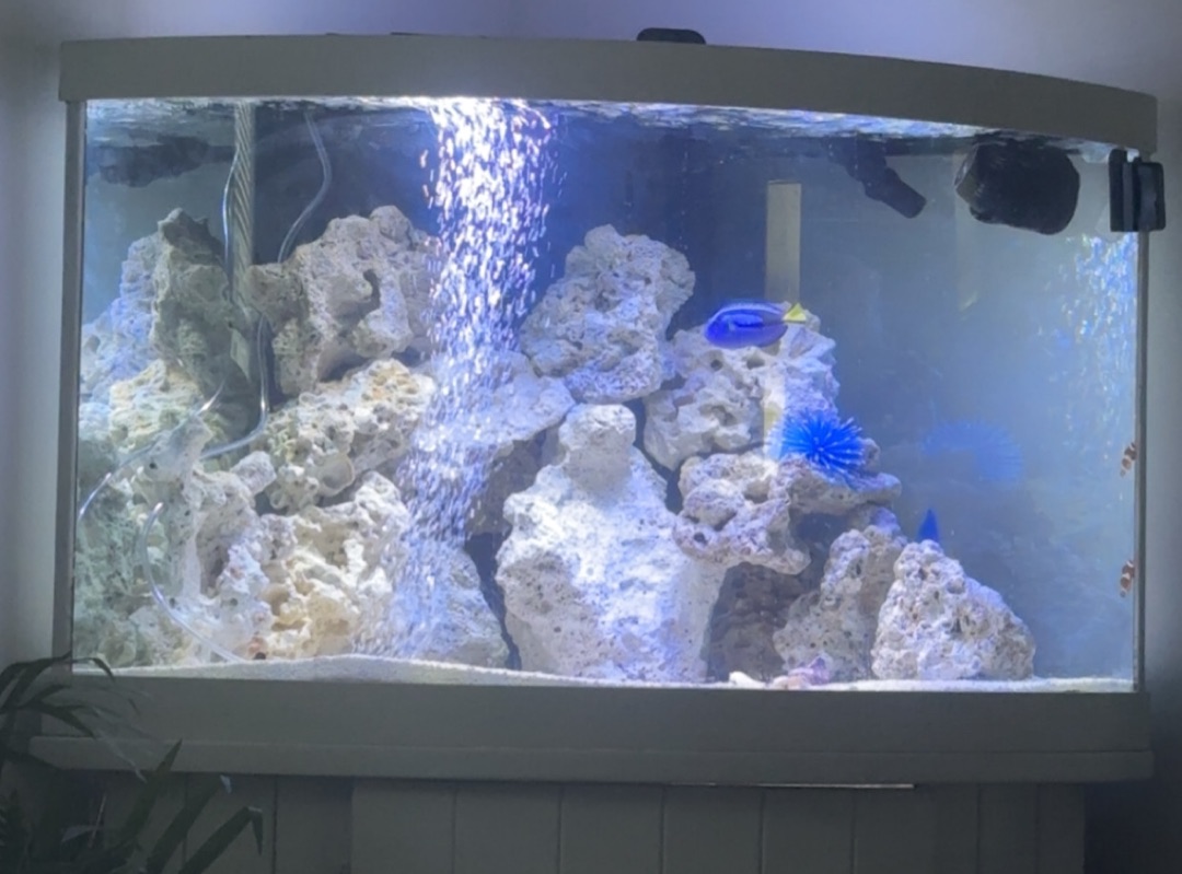 Tank Image