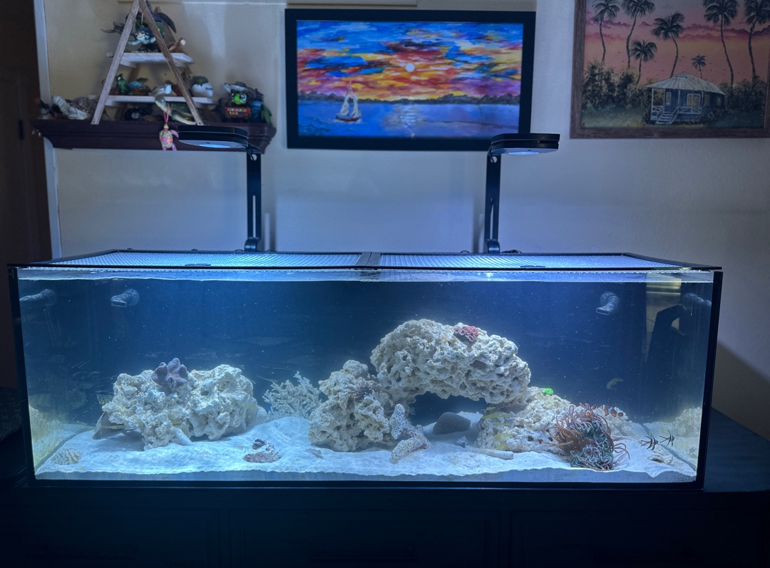 Tank Image