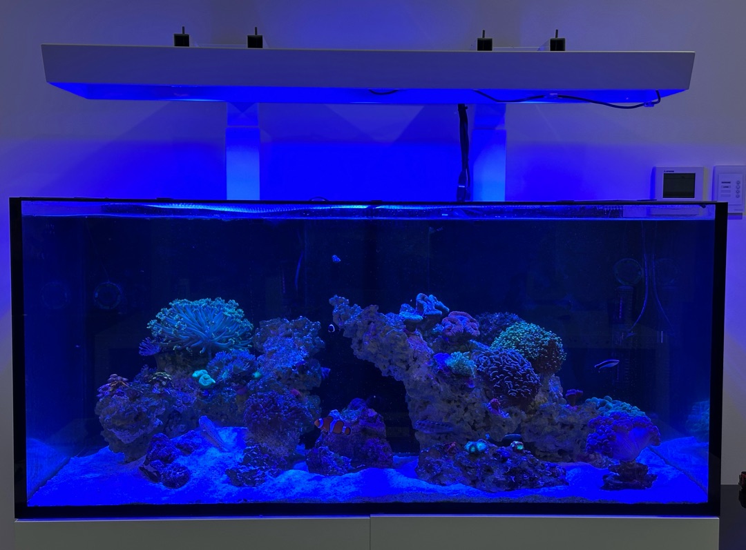 Tank Image