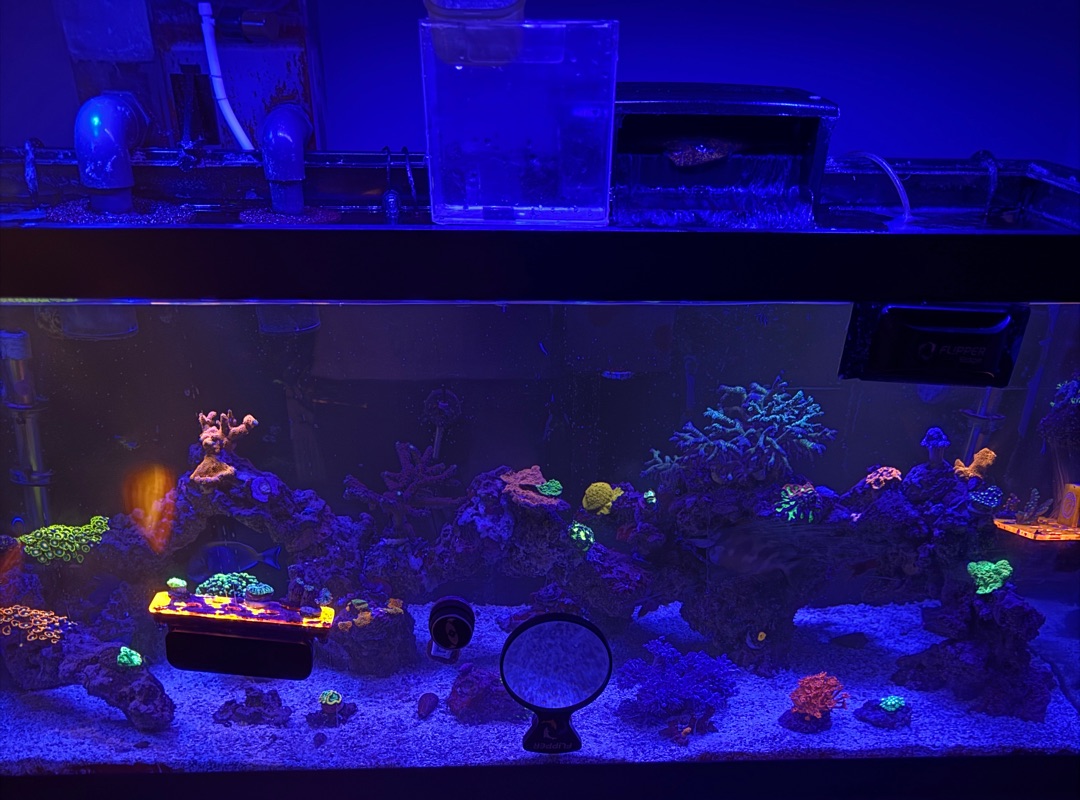 Tank Image