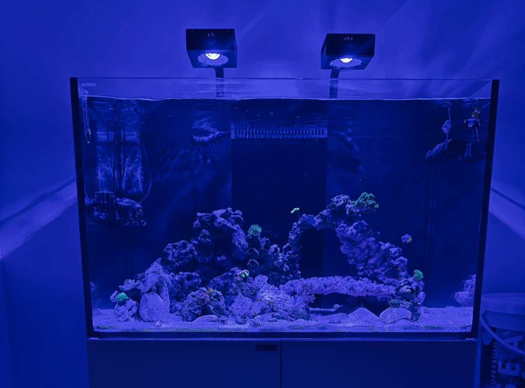 Tank Image