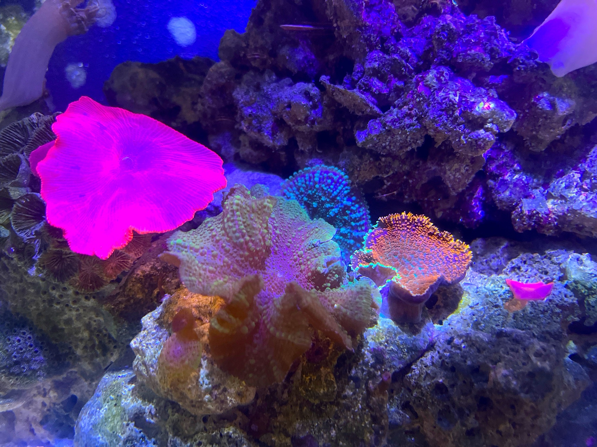 ReefBay post