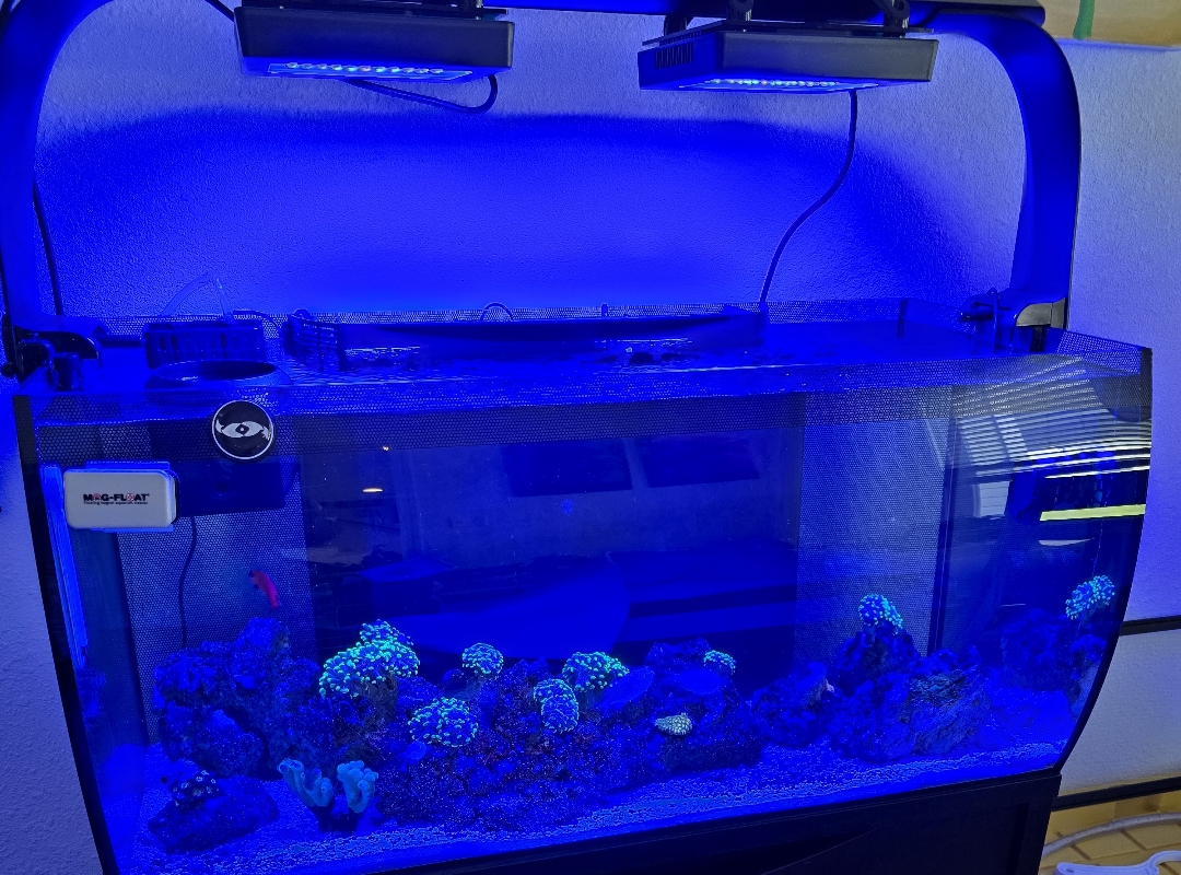 Tank Image