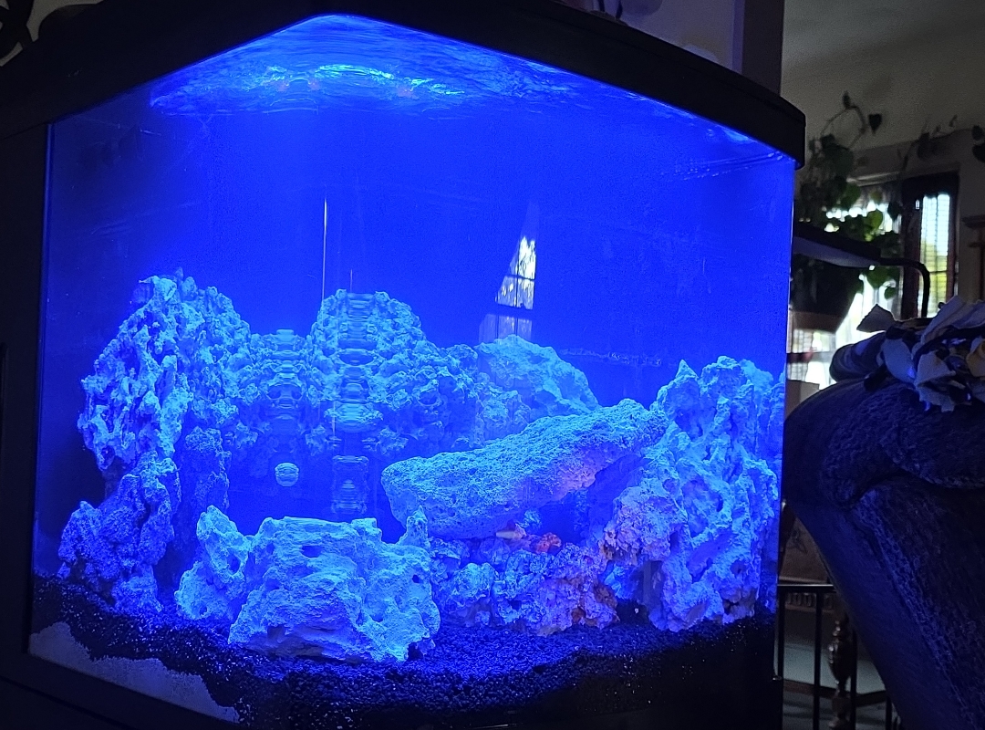 Tank Image