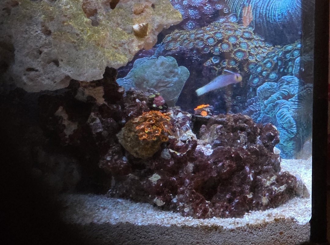 Tank Image