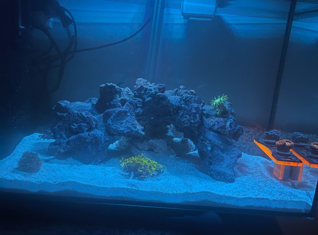 Tank Image