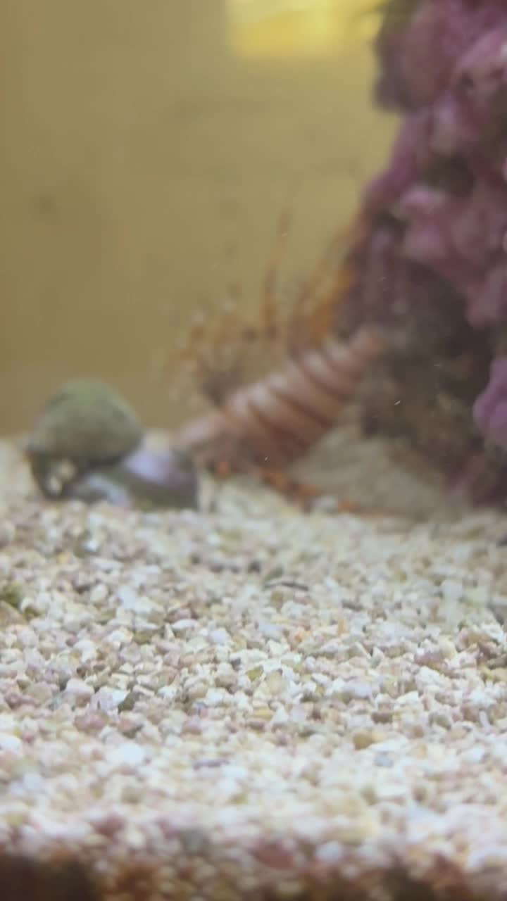 HELP does any one know what to do? He wedged himself between the rock...