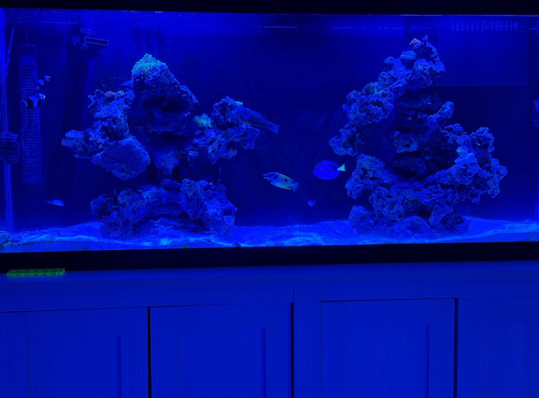 Tank Image