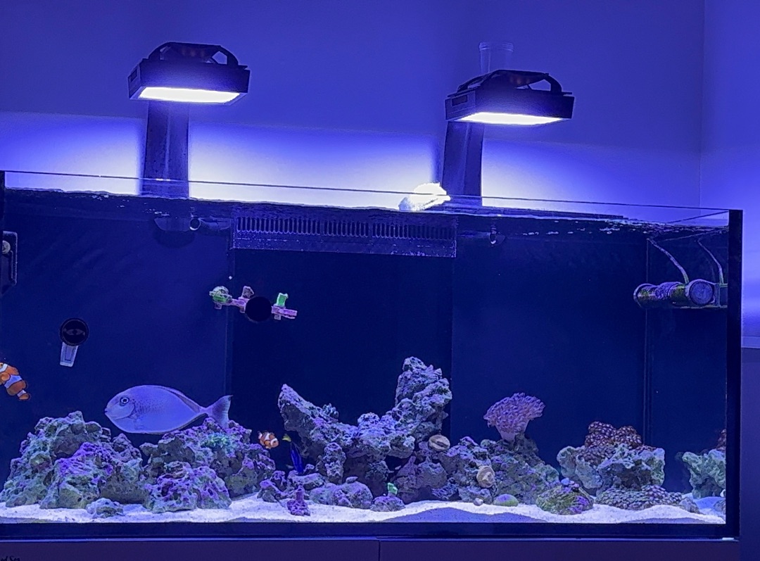 Tank Image