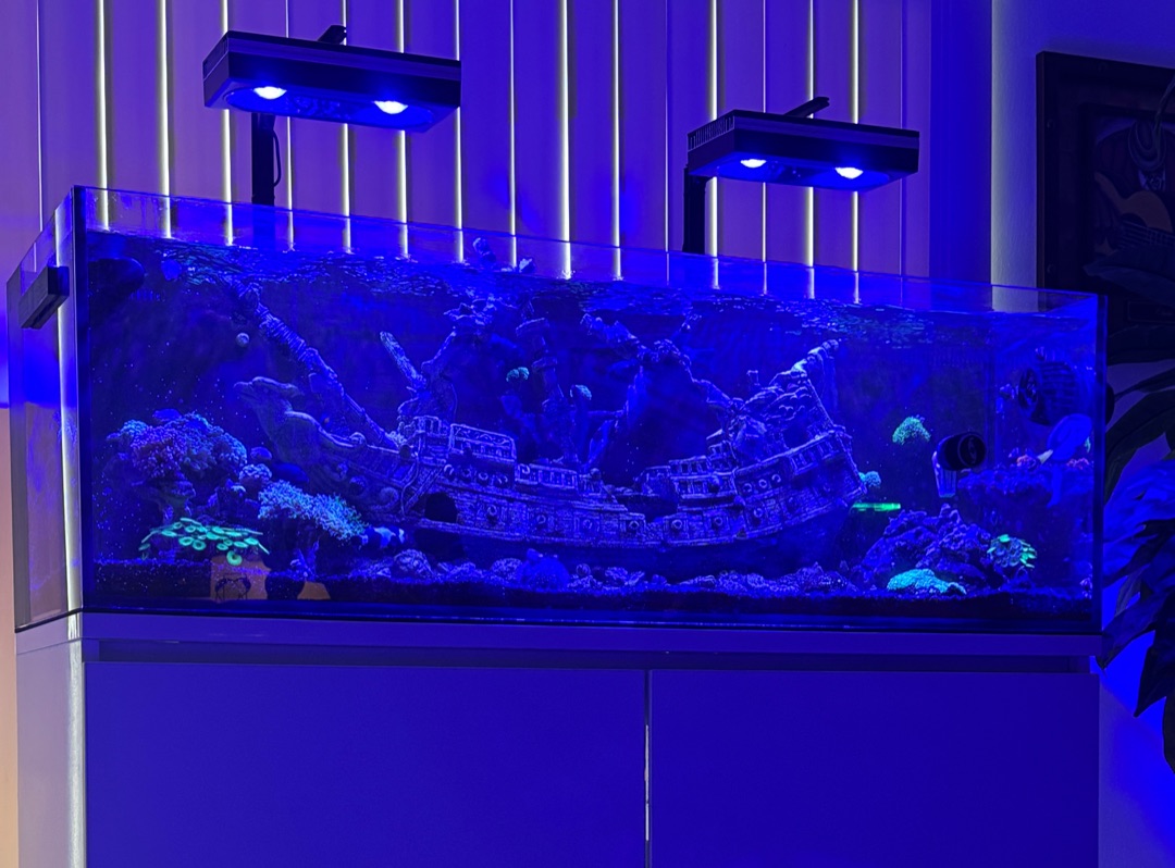 Tank Image