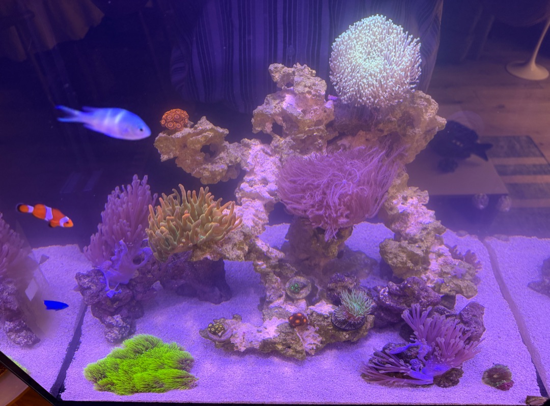 Tank Image