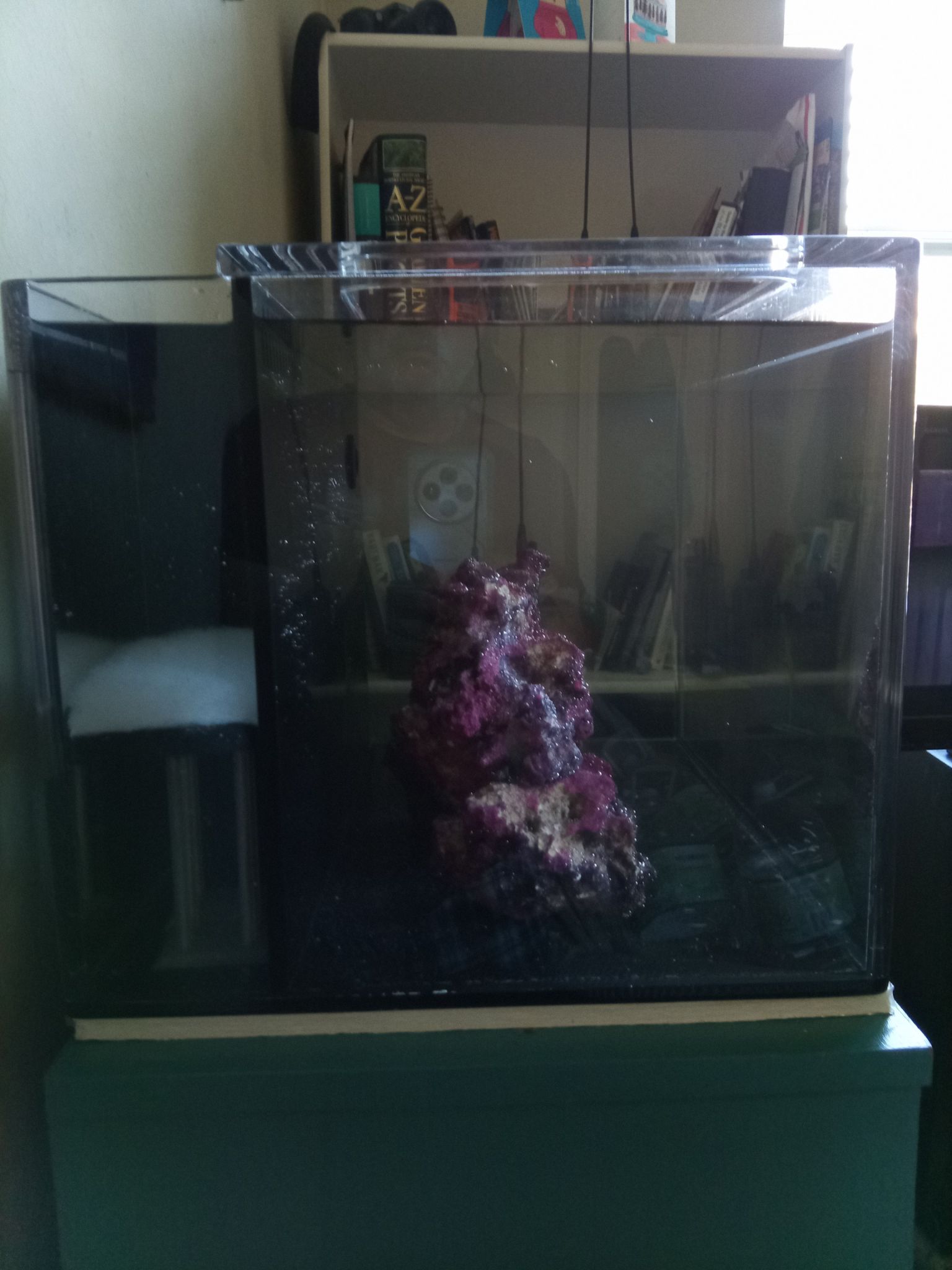 Cleaning and setting up a 23 gallon reef tank for new run (photo 2)