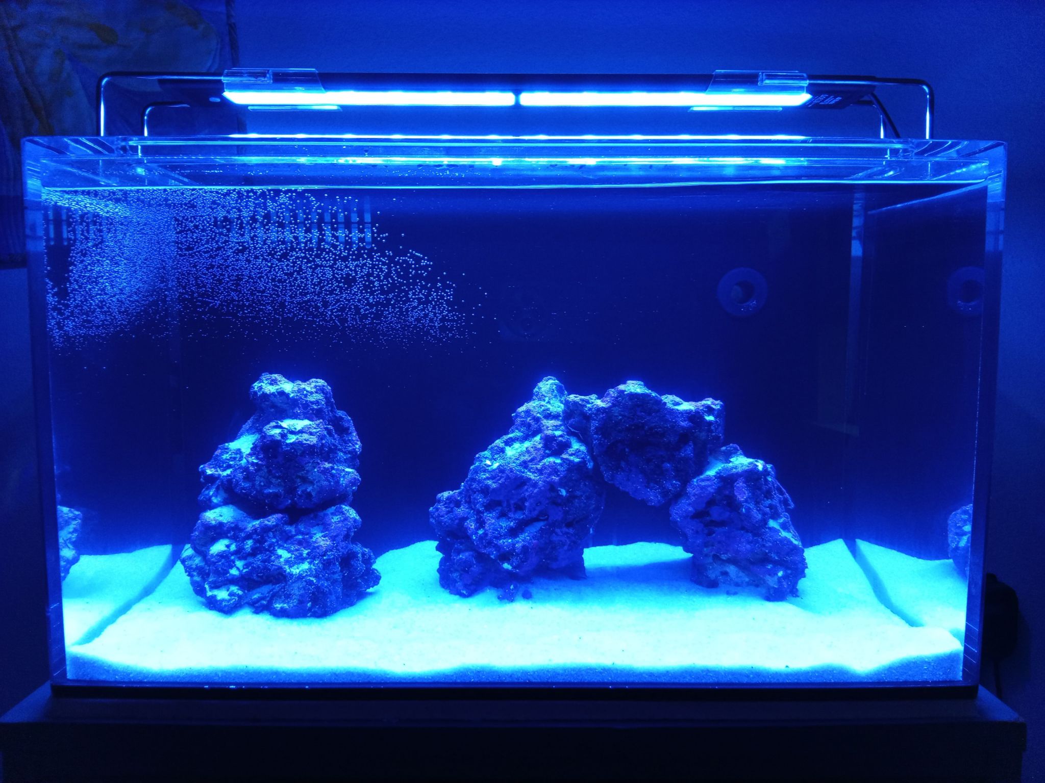 Nano reef tank setup with live rock under blue LED lighting