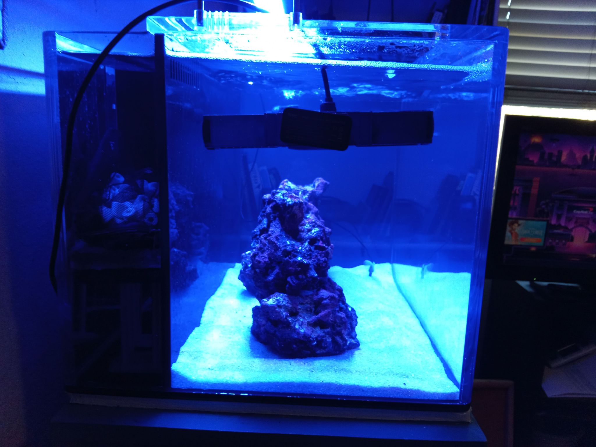 Nano reef tank setup with live rock and sump filtration (photo 2)