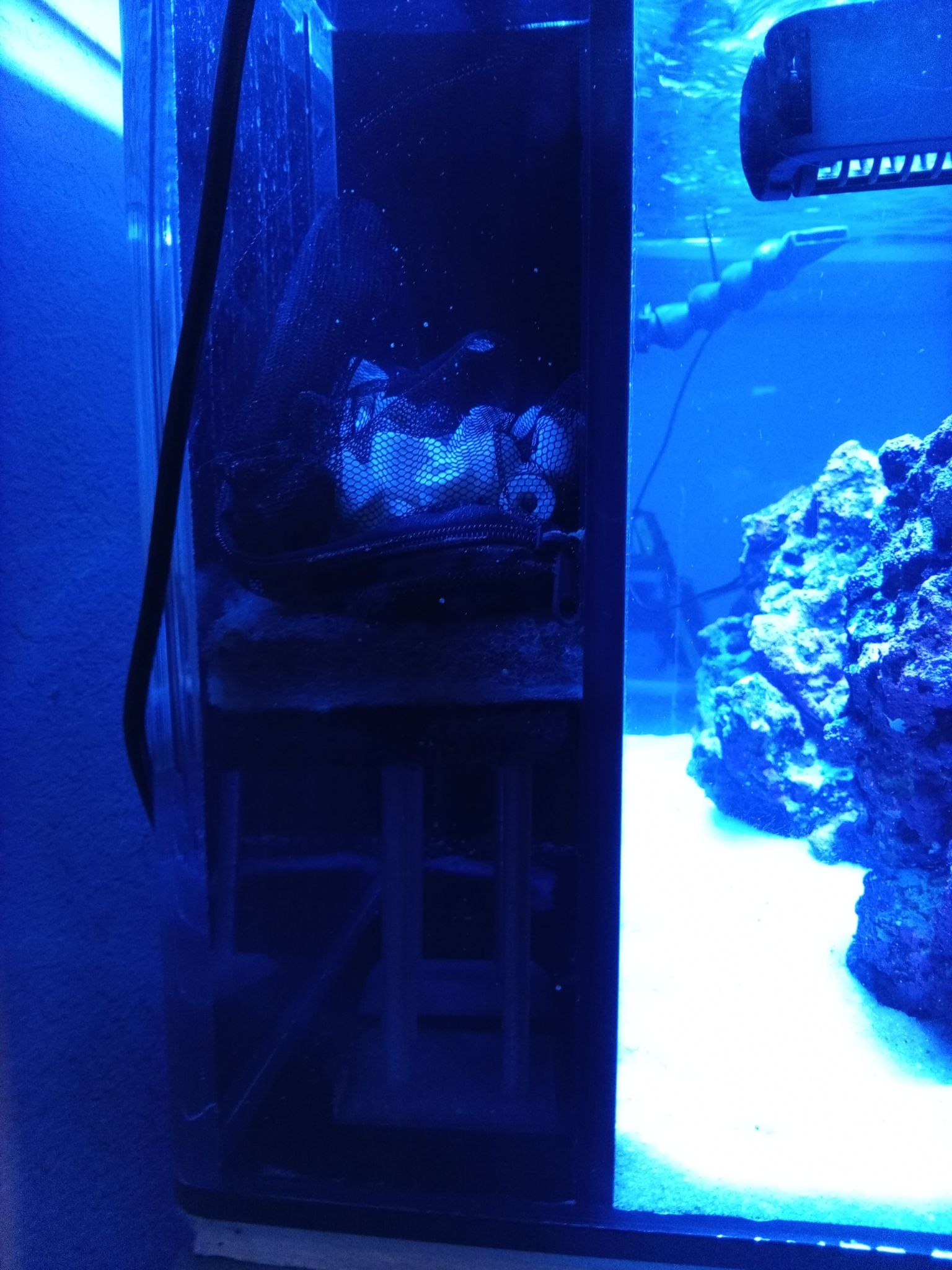 Nano reef tank setup with live rock and sump filtration (photo 3)