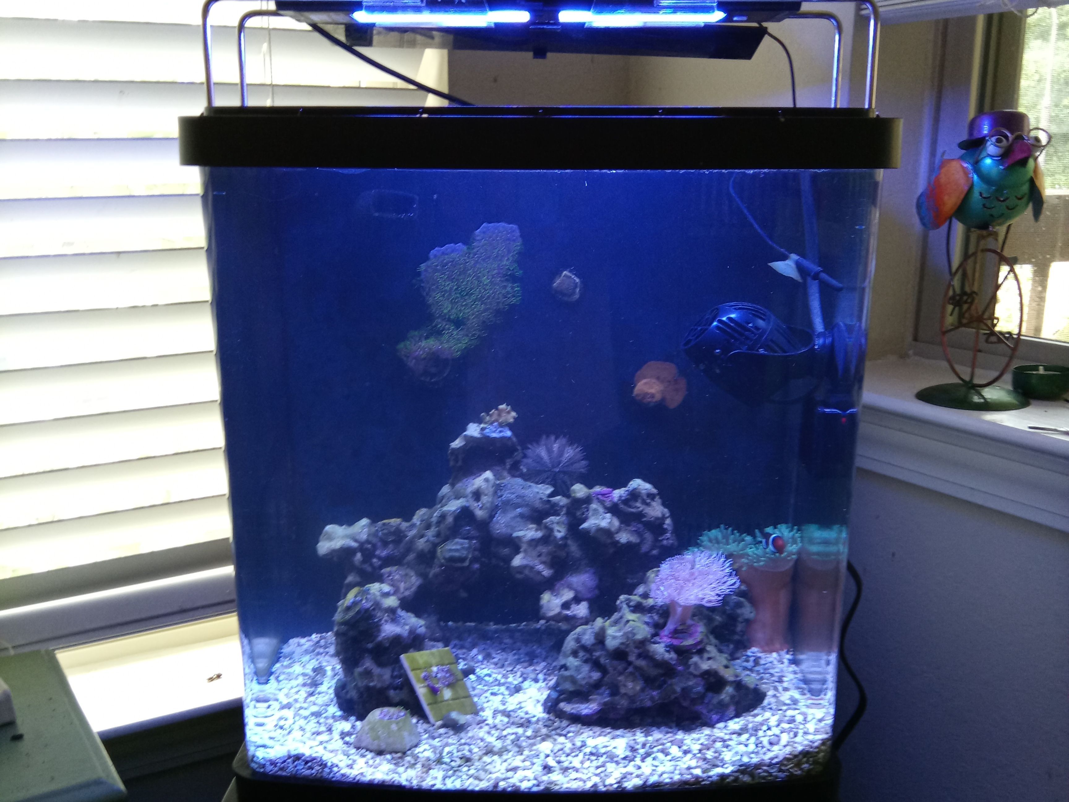 Tank Image