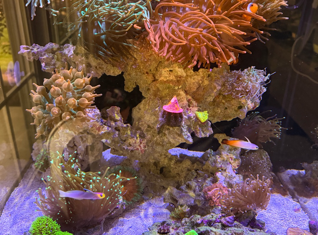 Tank Image