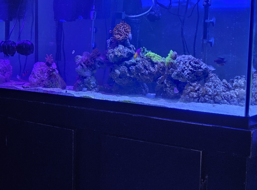 Tank Image