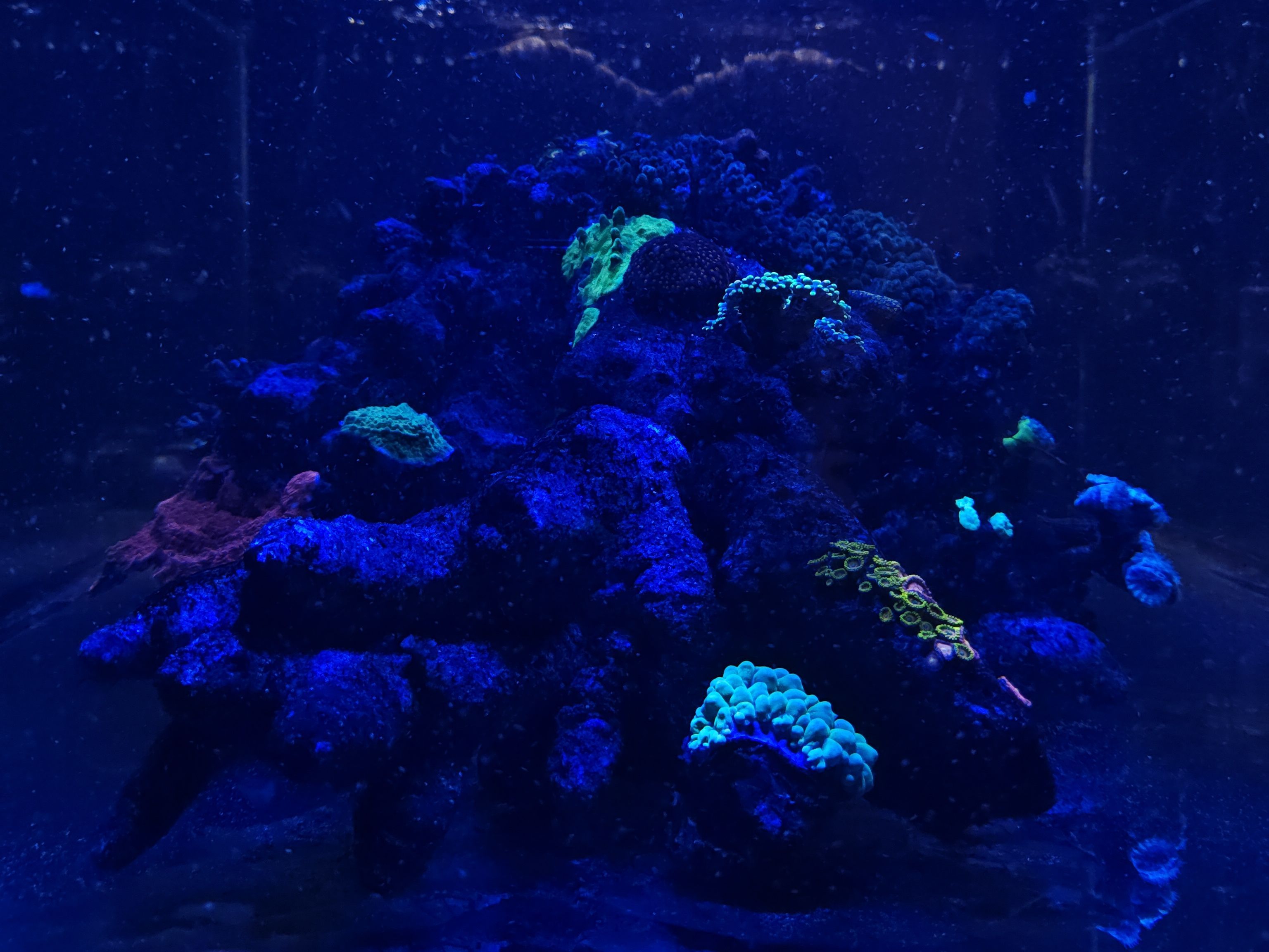 Tank Image