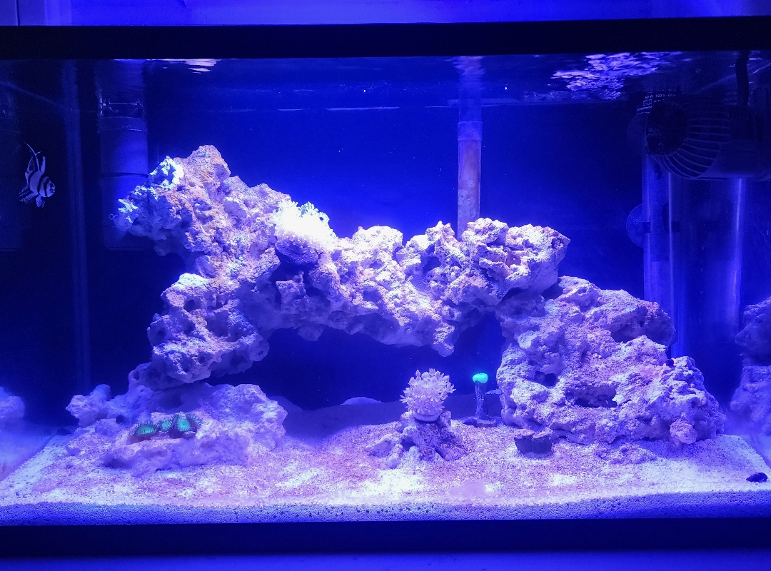 Tank Image