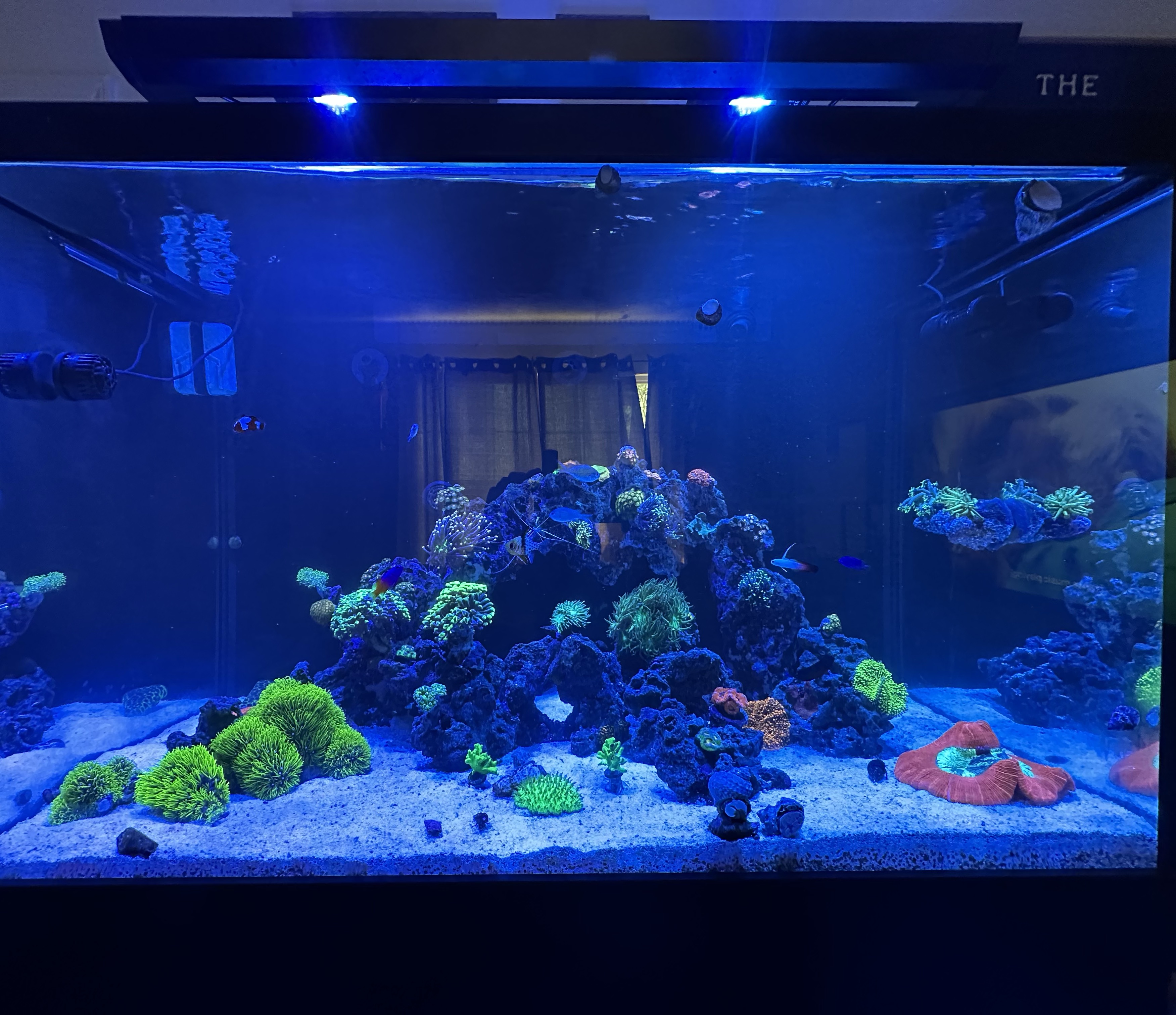 Tank Image