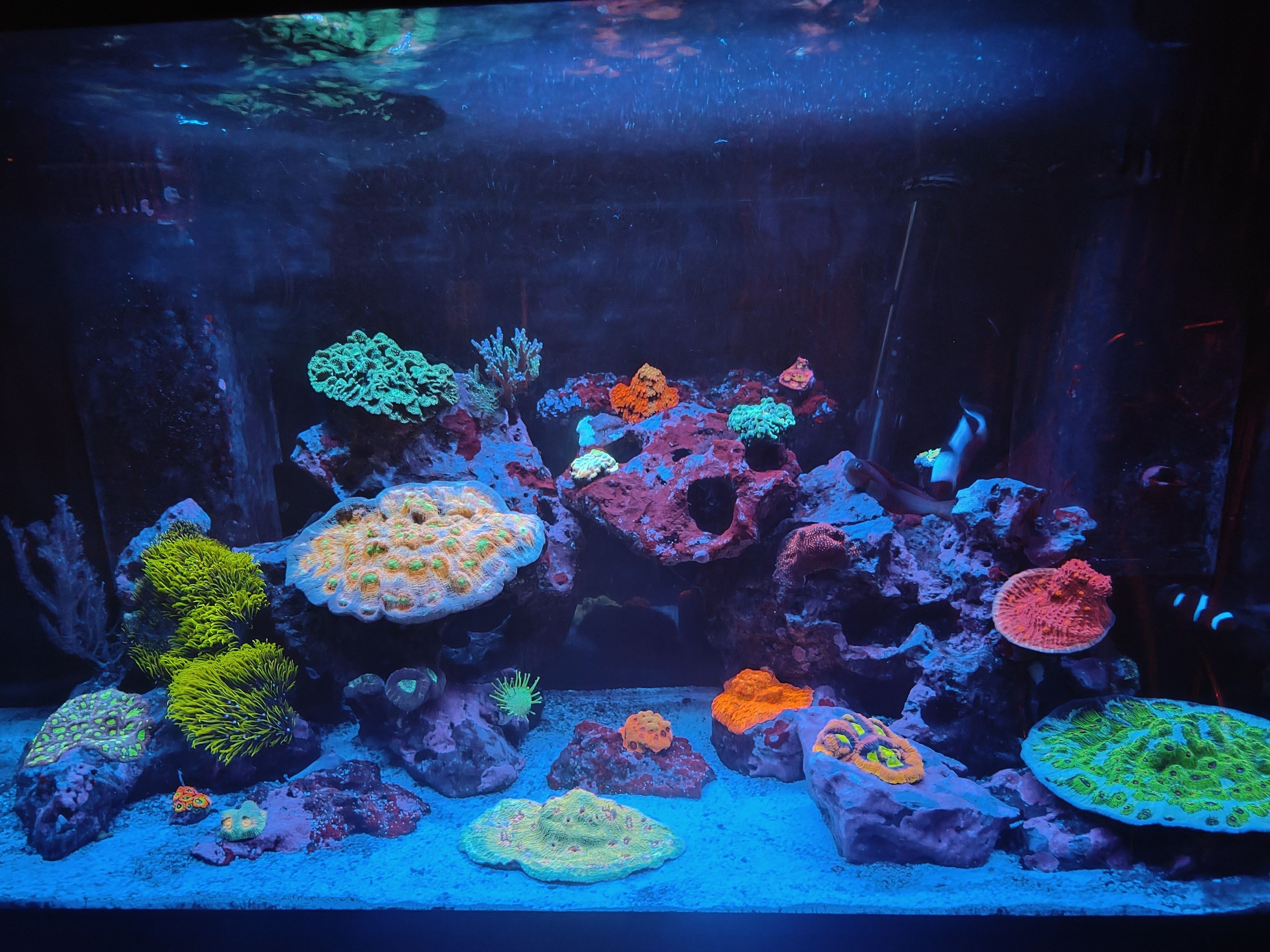 Tank Image
