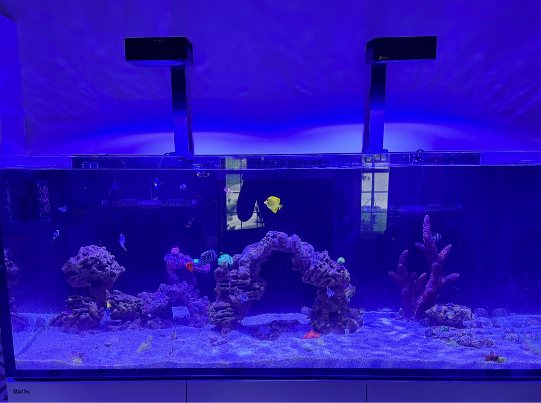 Tank Image