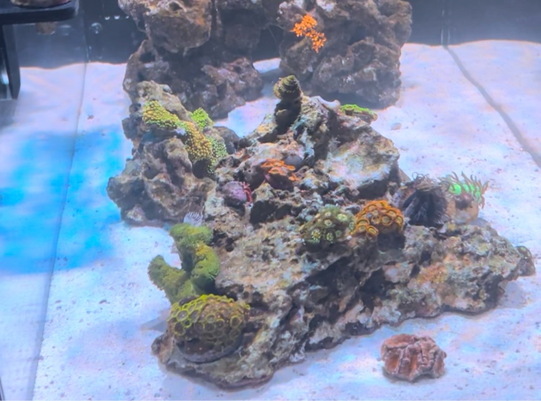Tank Image