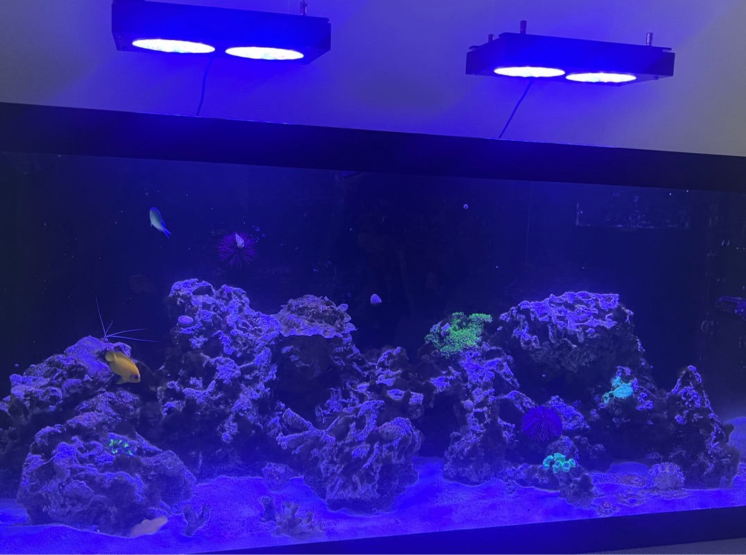 Tank Image