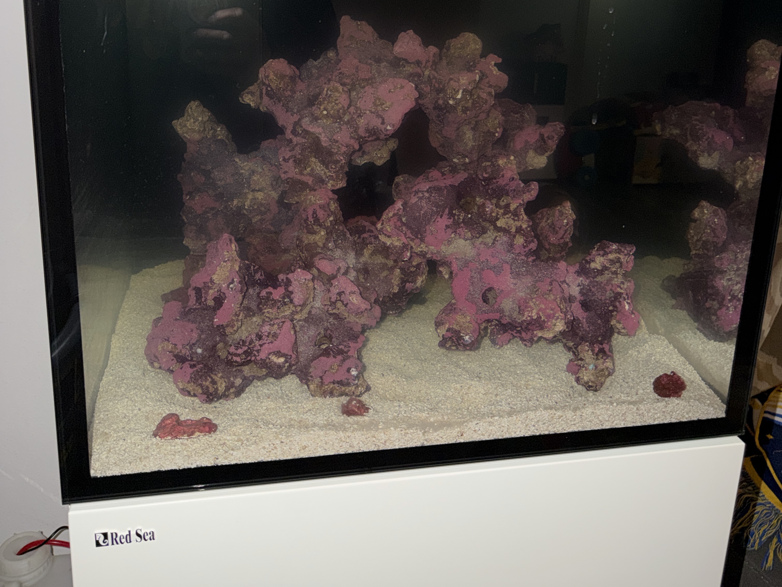 Tank Image