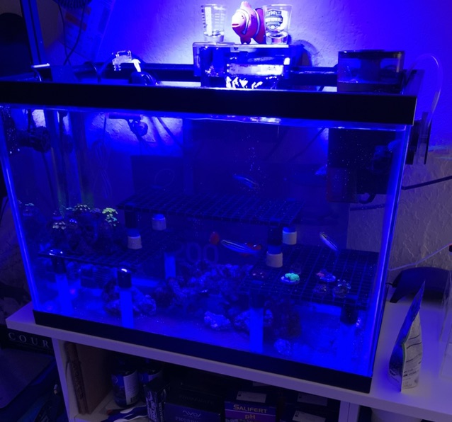 Tank Image