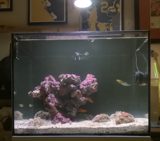Tank Image