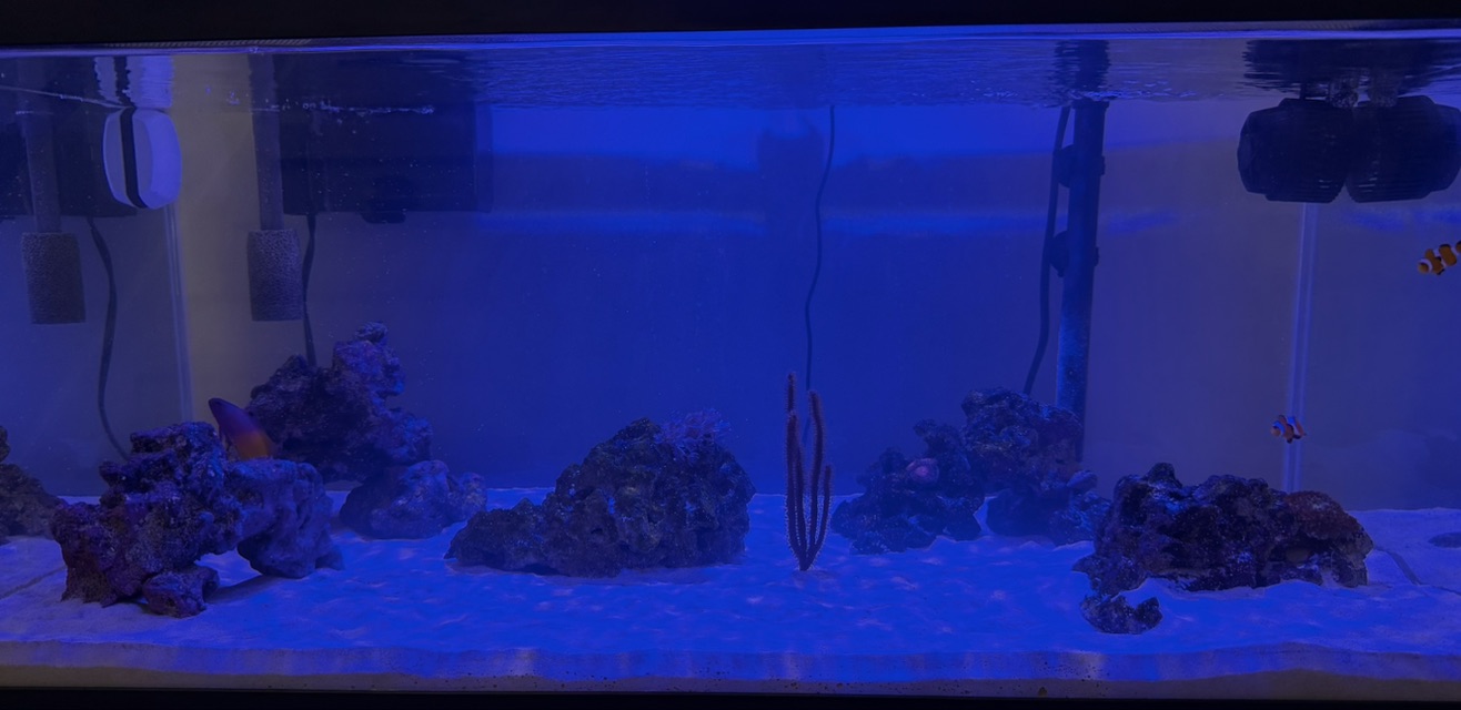 Tank Image