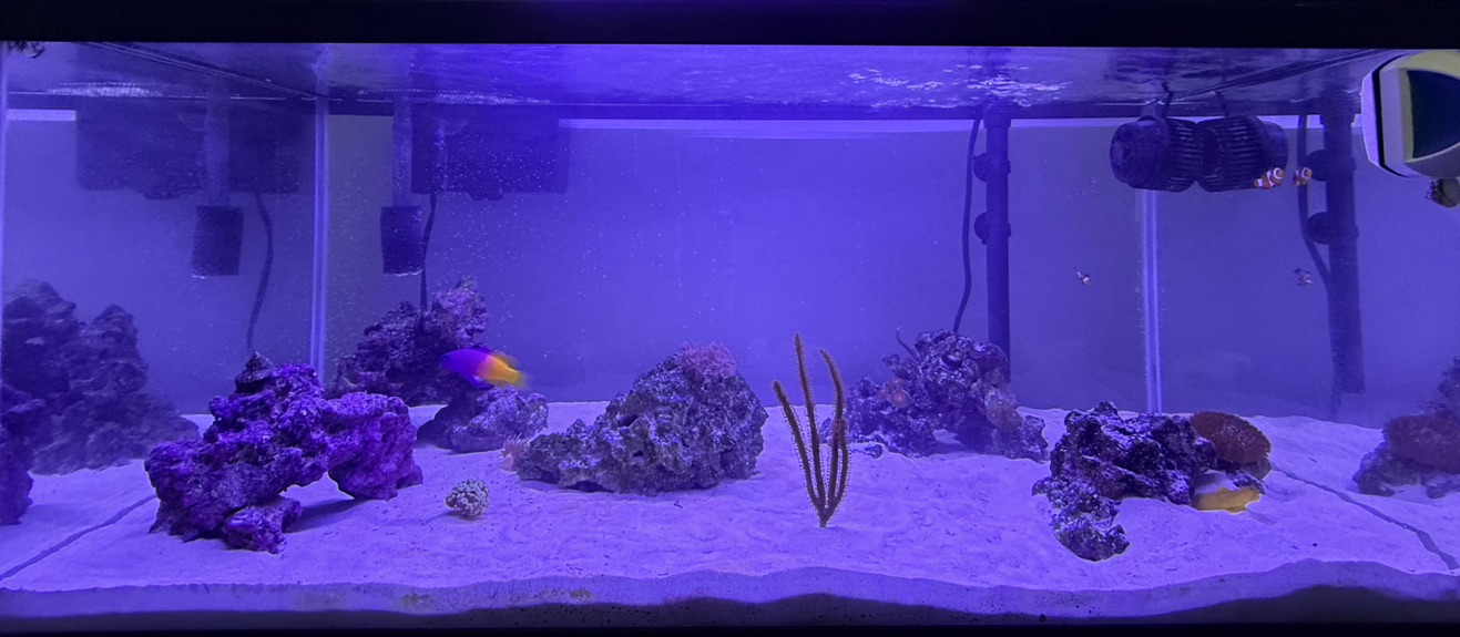 Tank Image