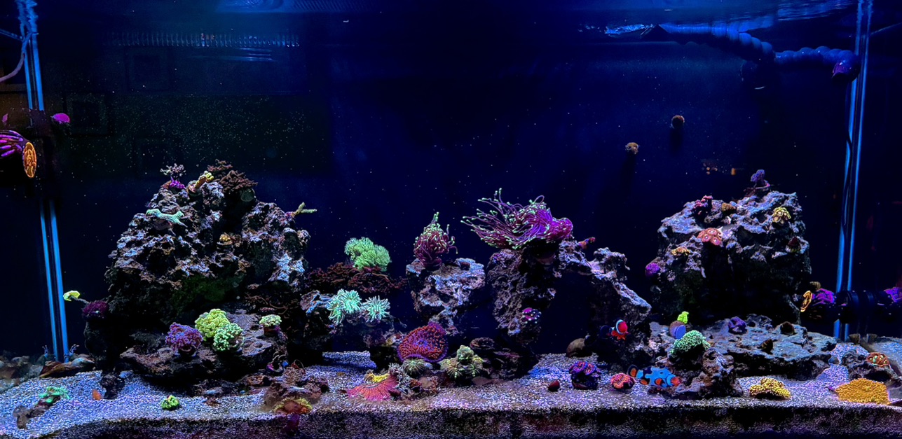 Tank Image