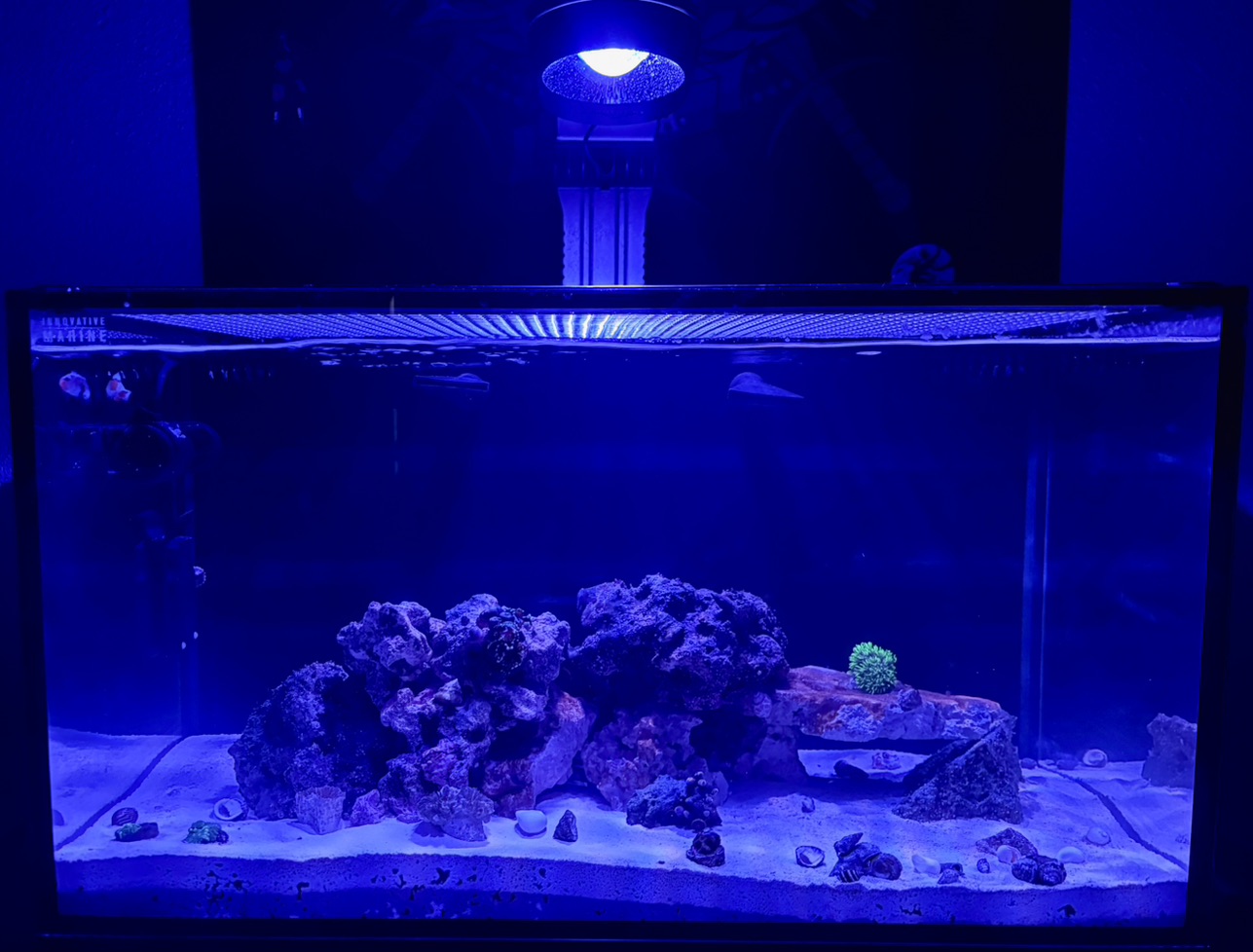 Tank Image