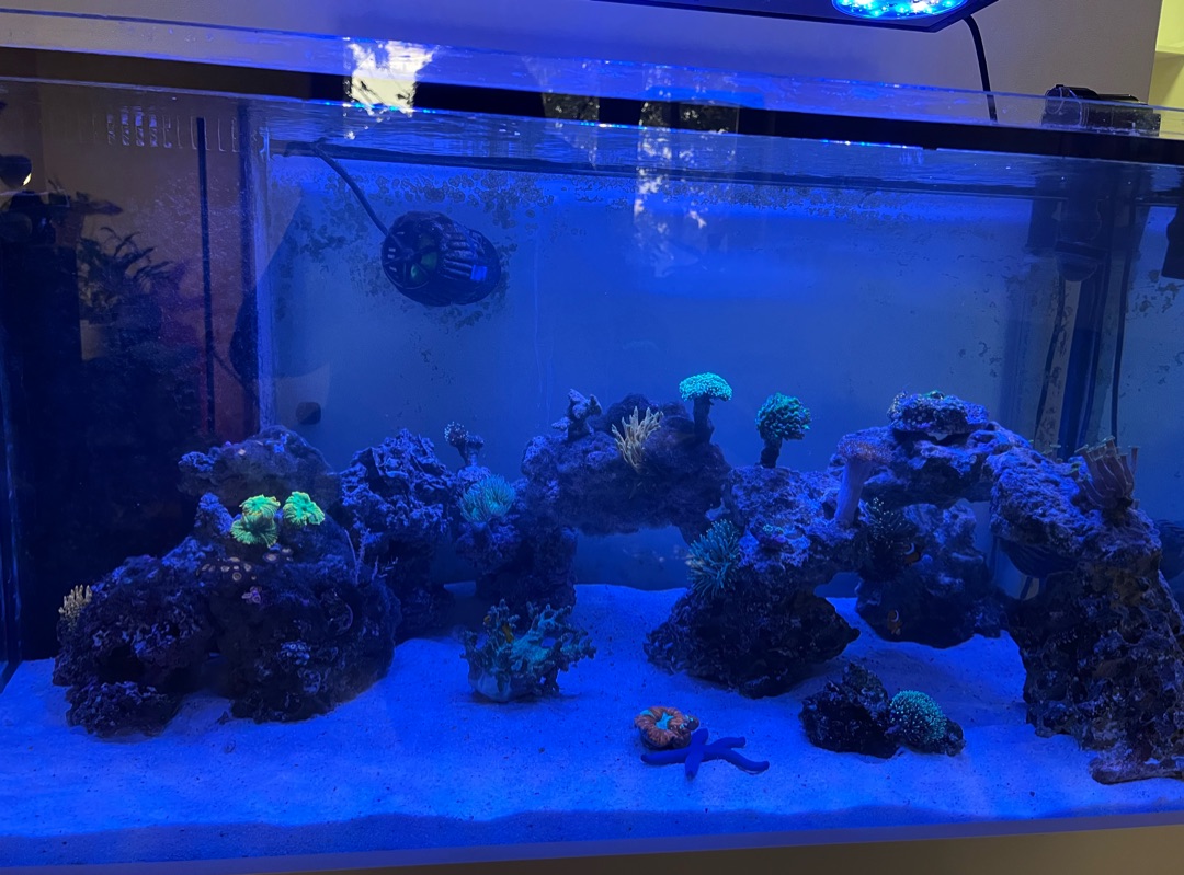 Tank Image