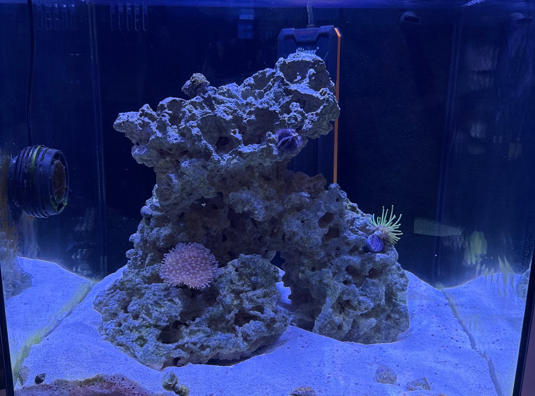 Tank Image