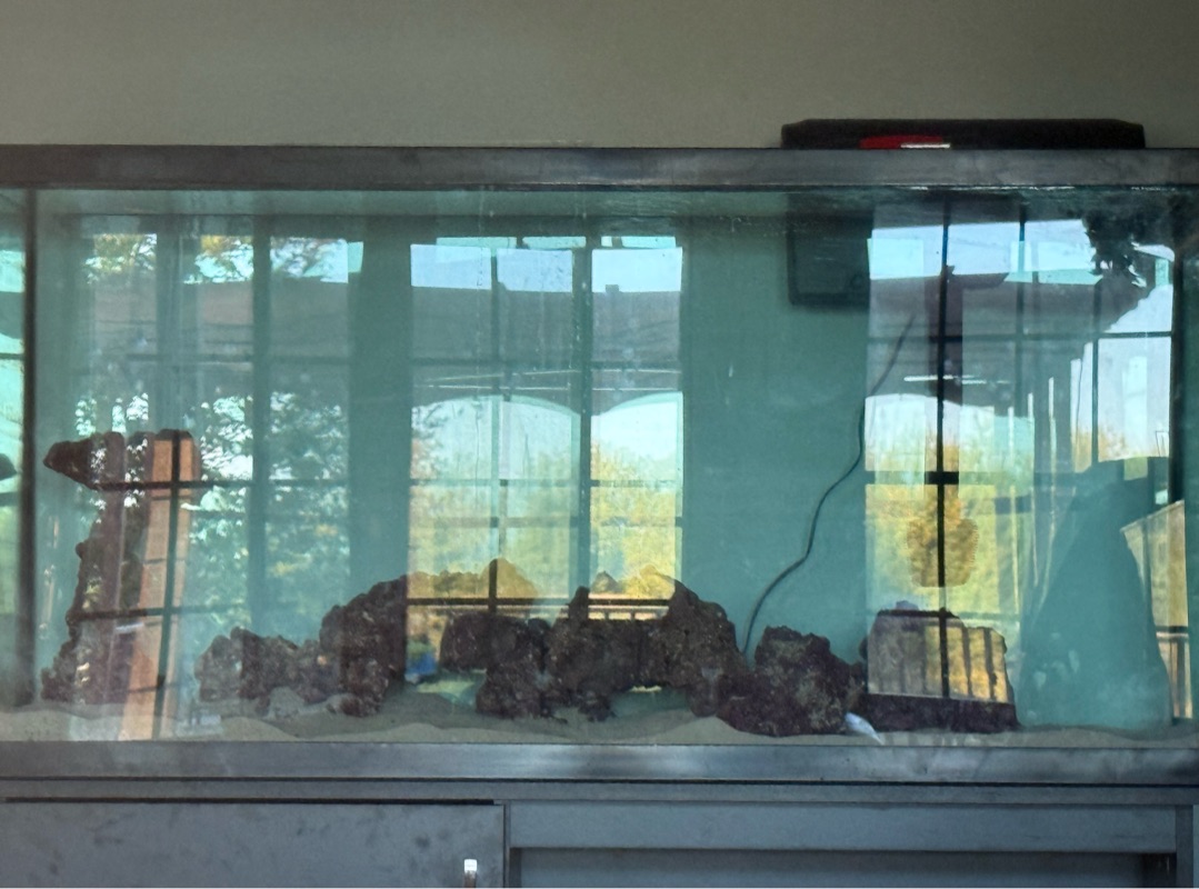 Tank Image