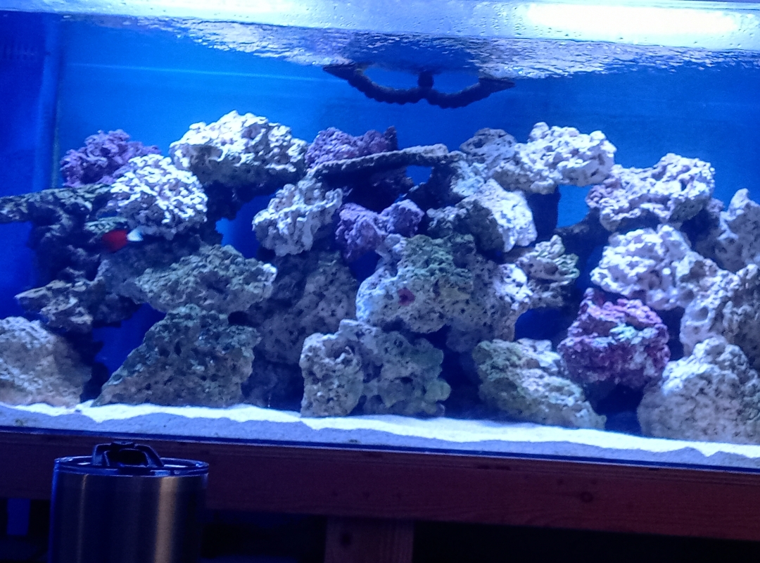 Tank Image