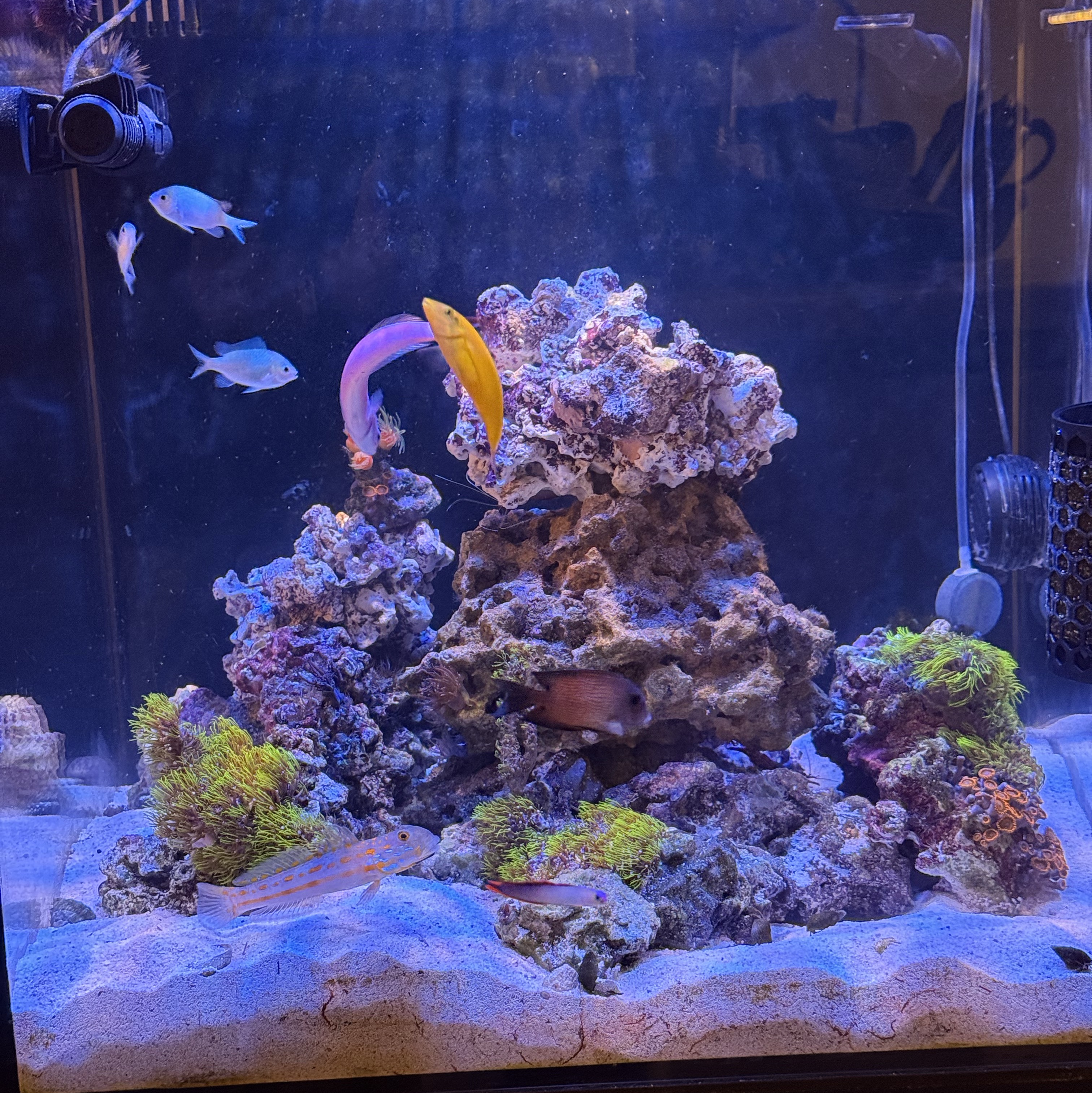 Tank Image