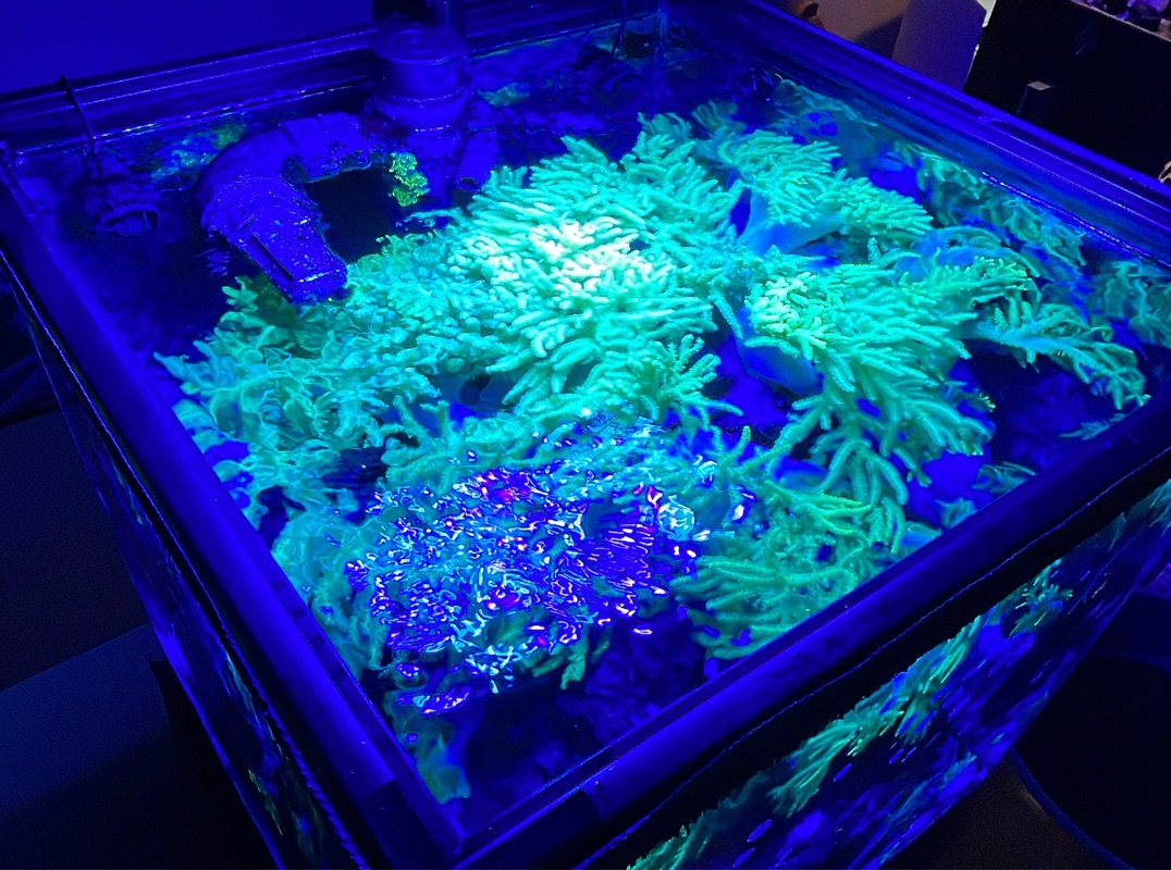 Tank Image