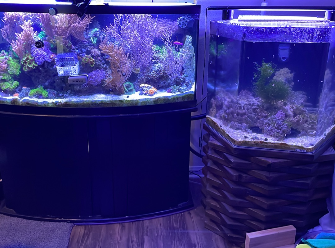 Tank Image