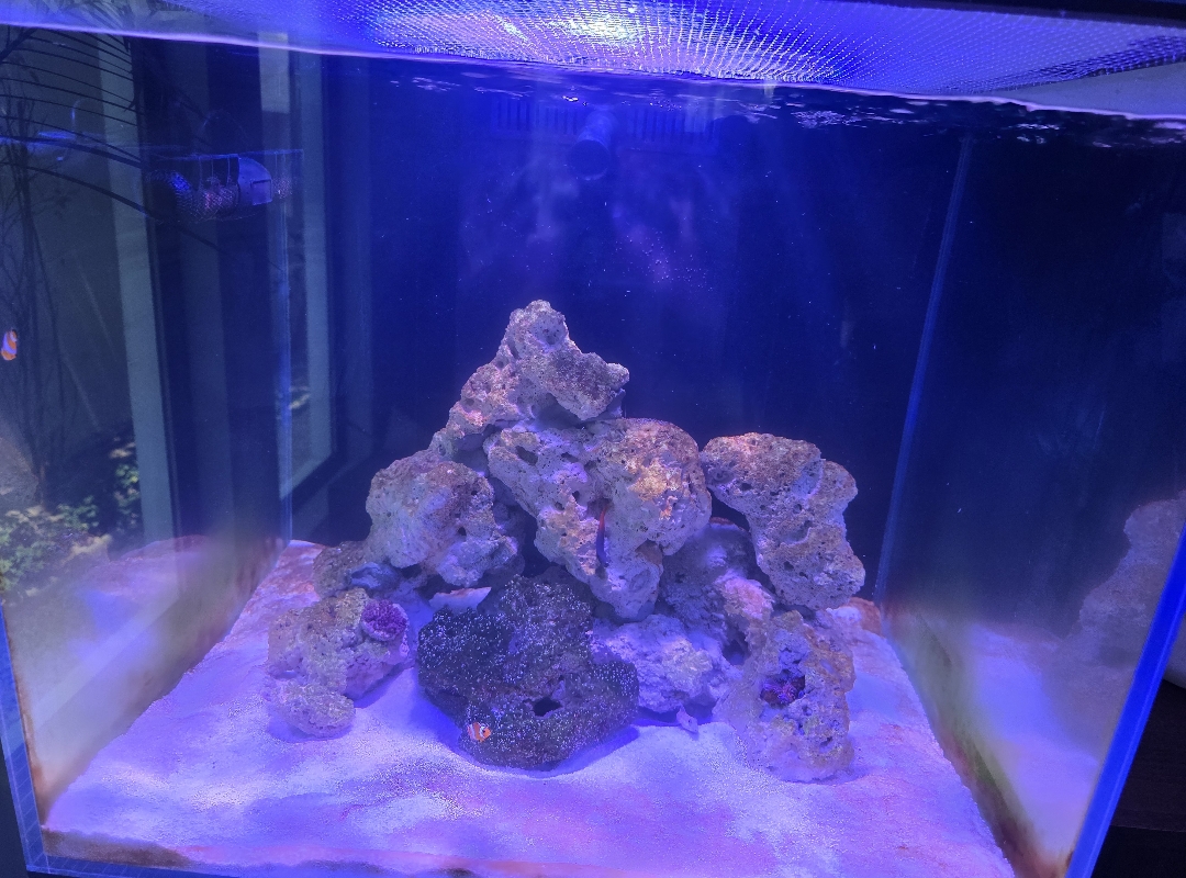 Tank Image