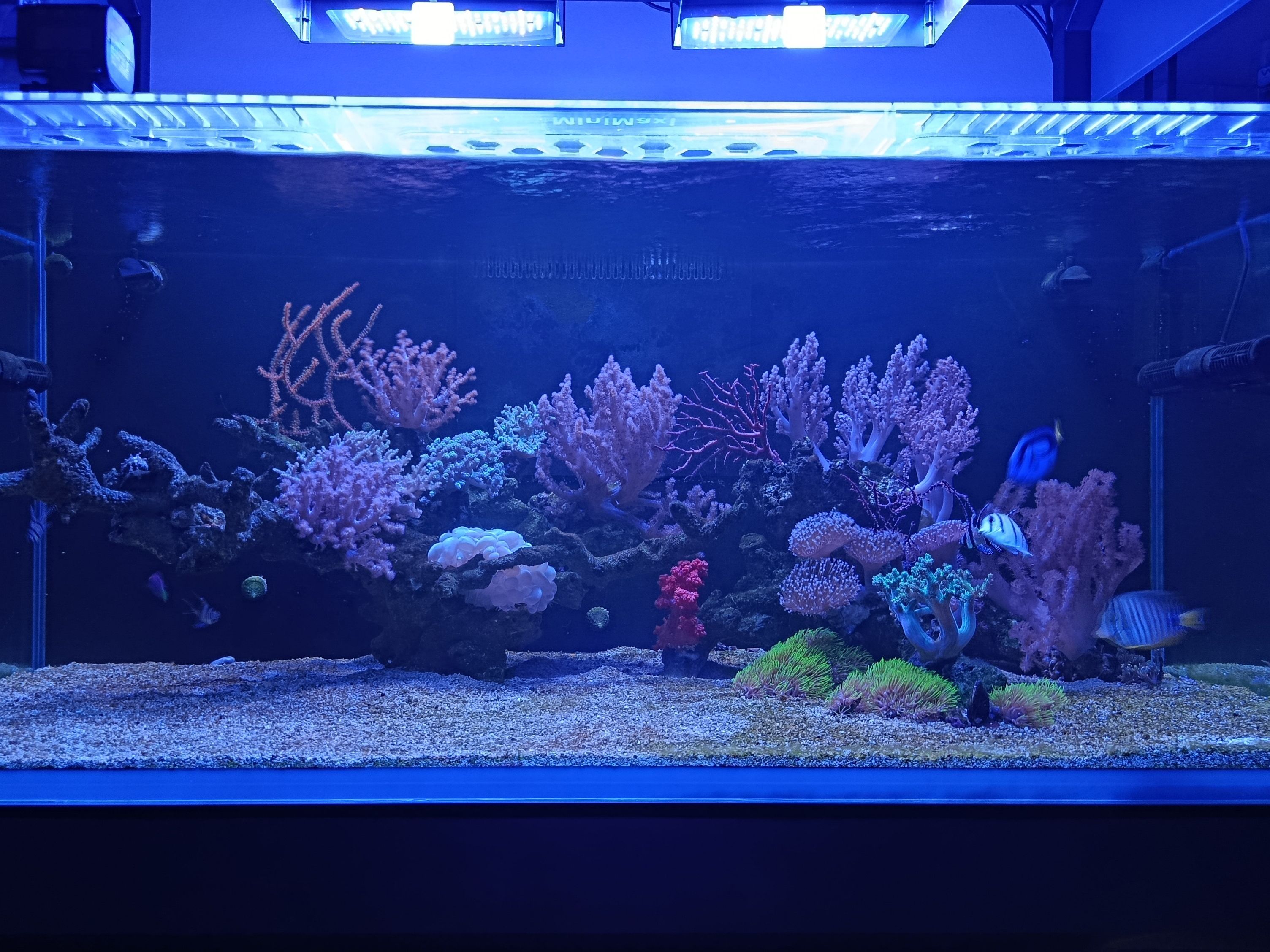 Tank Image