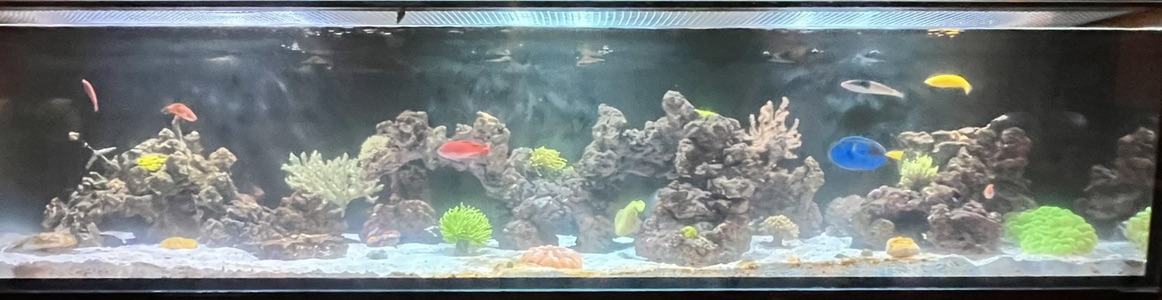 Tank Image
